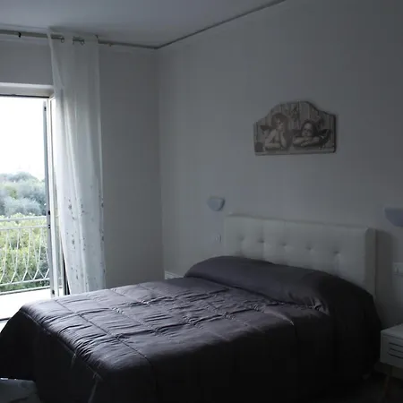 L'albero Dela Piragineti