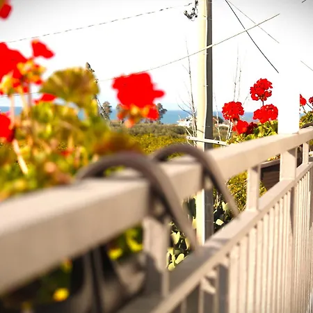 L'albero Dela Guest house *