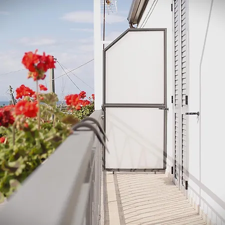 Guest house L'albero Dela Piragineti