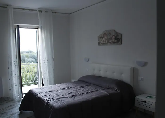 L'albero Dela Piragineti