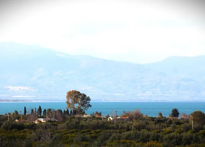 L'albero Dela Guest house
