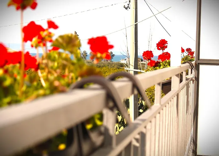 L'albero Dela Guest house *